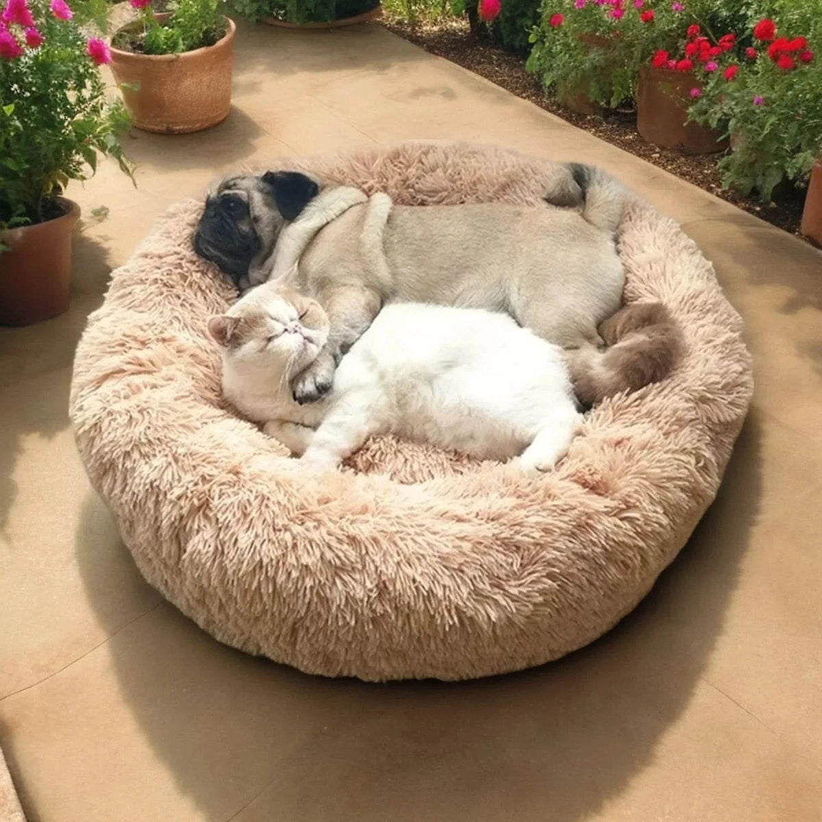Calming Dog Cushion — Enclosed Den Design, Supportive Raised Edges