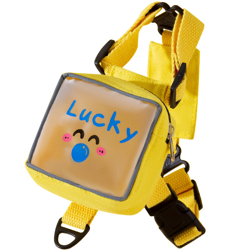 Cat Harness with Transparent Backpack