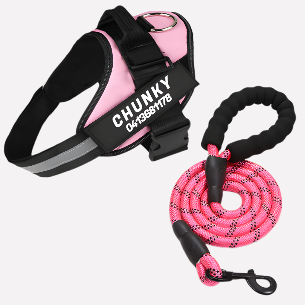 Charly | Customizable Anti-Pull Dog Harness