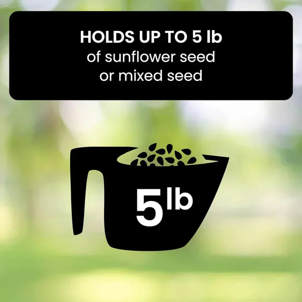 Charly | Squirrel Proof Bird Feeder for Outdoor Garden