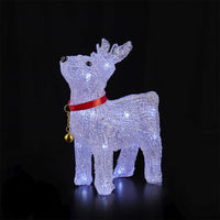 Acrylic Reindeer with LED Lights - Height 22 cm