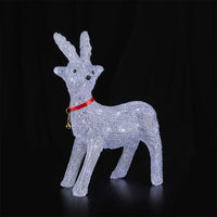 Acrylic Reindeer with LED Lights - Height 41 cm