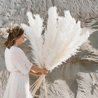 Bohemian Dried Grass Stems for Elegant Home Accents