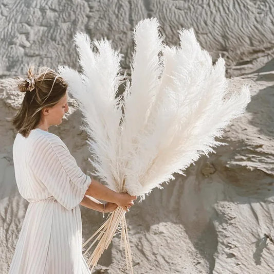 Aurea Meadow Boho Dried Pampas Grass for Home Decor