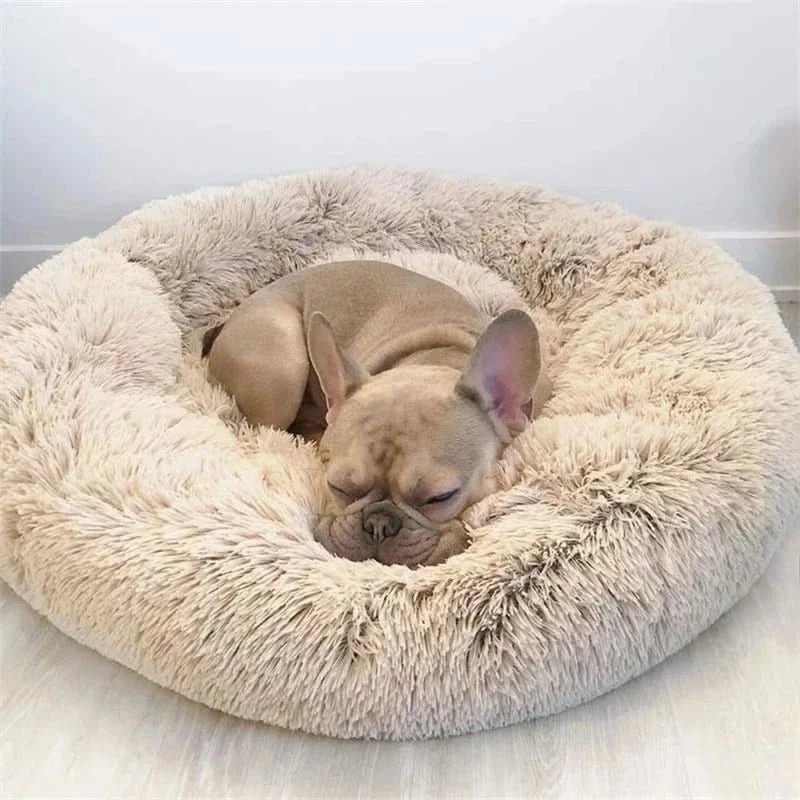 Calming Dog Cushion — Enclosed Den Design, Supportive Raised Edges