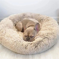 Calming Dog Cushion — Enclosed Den Design, Supportive Raised Edges