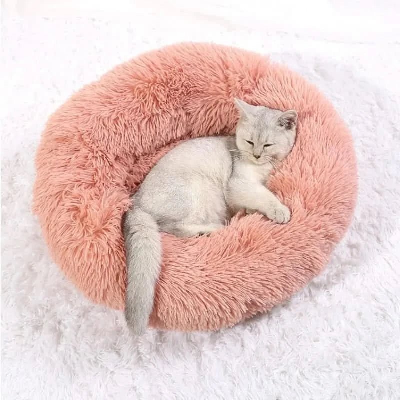 Calming Dog Cushion — Enclosed Den Design, Supportive Raised Edges