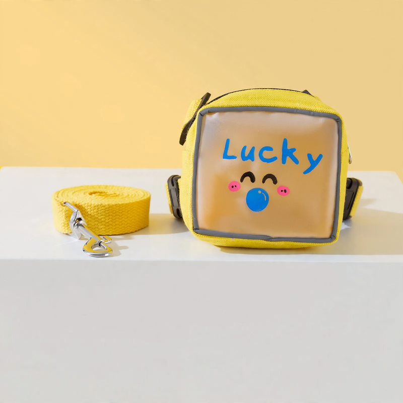 Cat Harness with Transparent Backpack