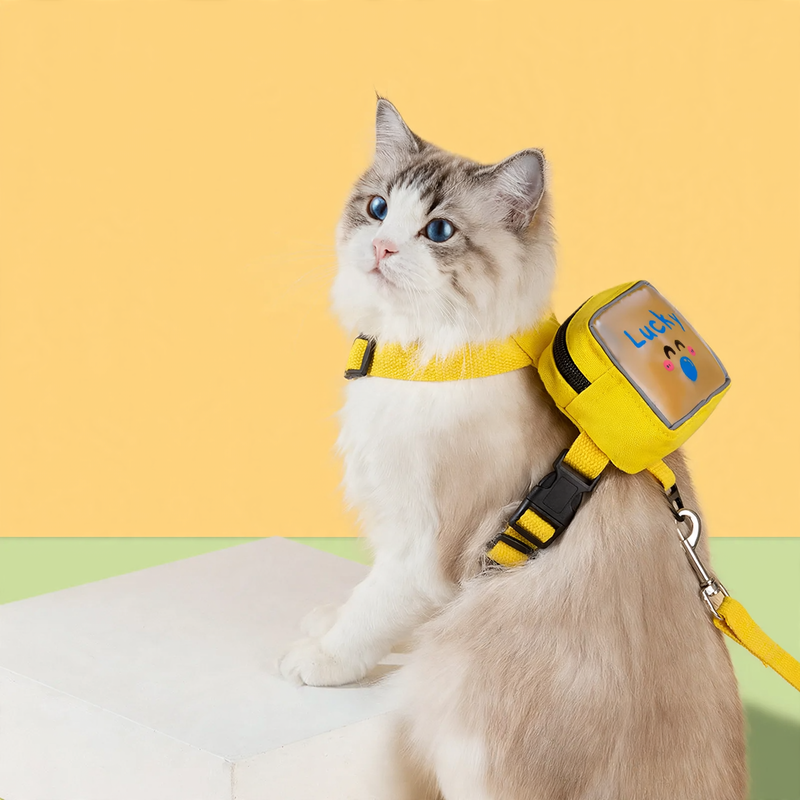 Cat Harness with Transparent Backpack
