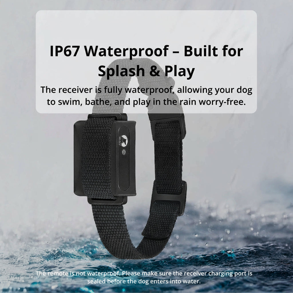 Charly | 1000m Waterproof Dog Training Collar | Rechargeable, Remote Control & Adjustable for Small, Medium, and Large Dogs