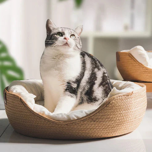 Charly | Bamboo Bed
