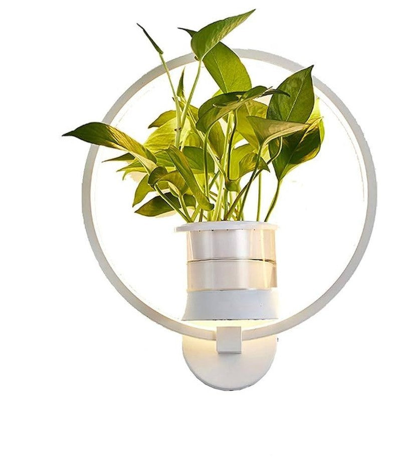 Charly | Botanical Wall Light with Plant | Stylish Wall Lighting