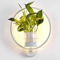 Sisica | Botanical Wall Light with Plant | Stylish Wall Lighting