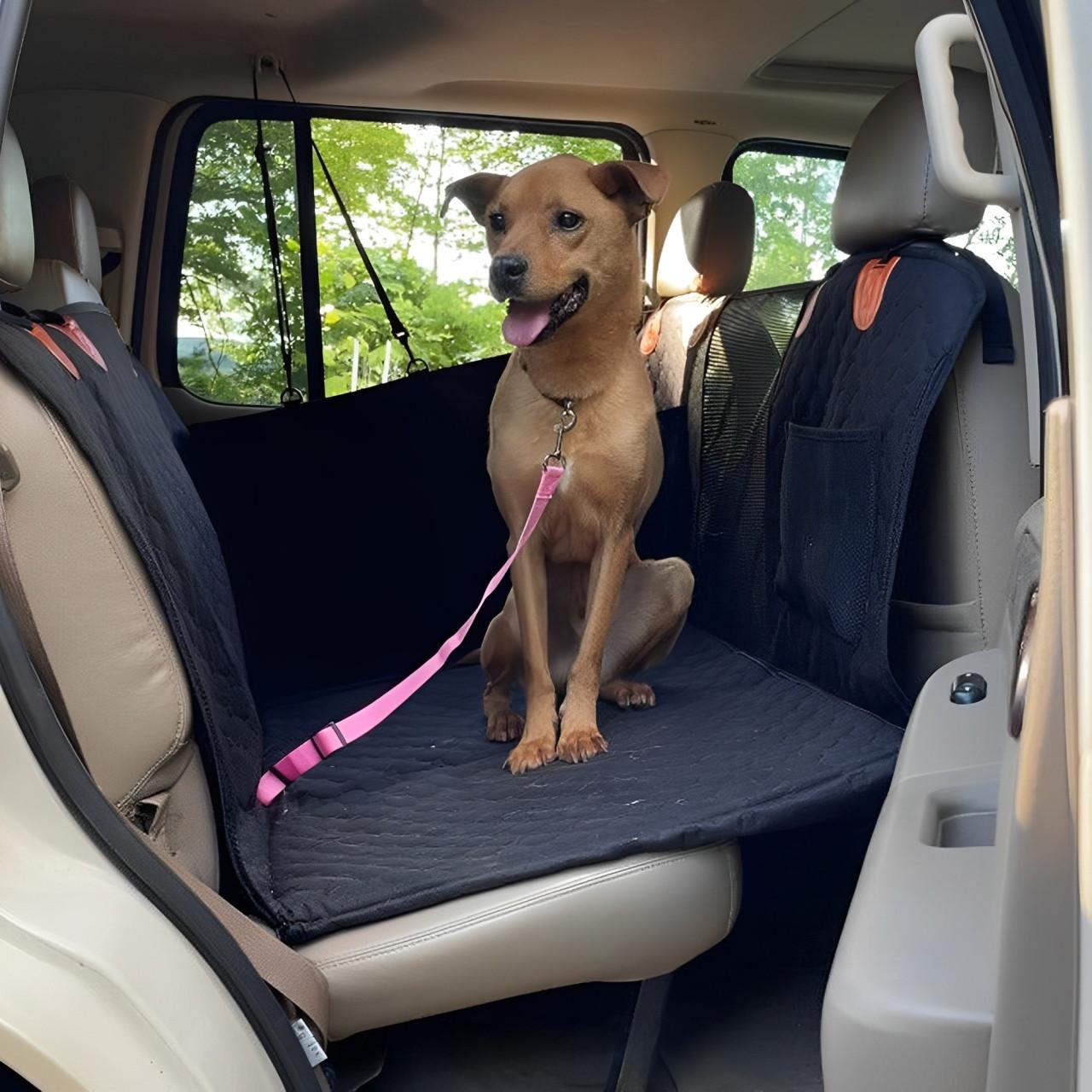 Charly | Car Cover for Dogs with Door Shields