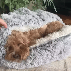 Charly | Cozy Cave Pet Bed | Calming & Comfortable Dog Bed for Deep Relaxation