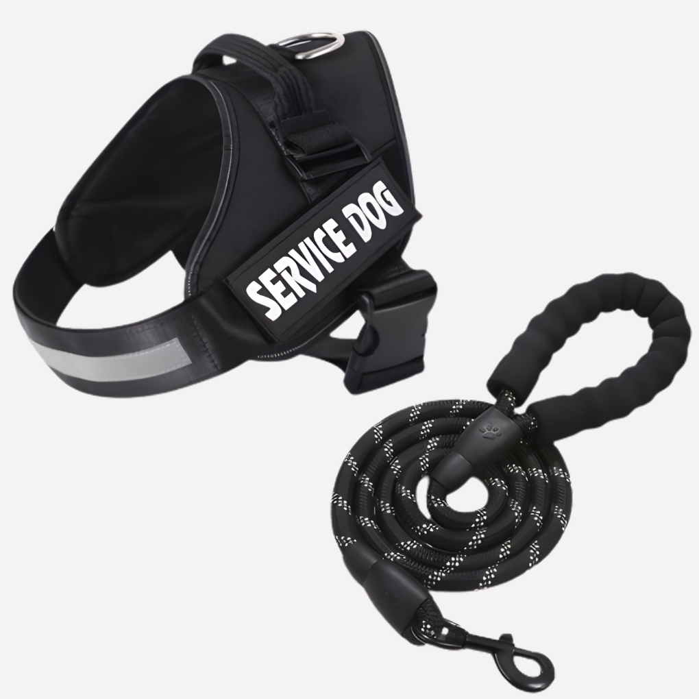 Charly | Customizable Anti-Pull Dog Harness