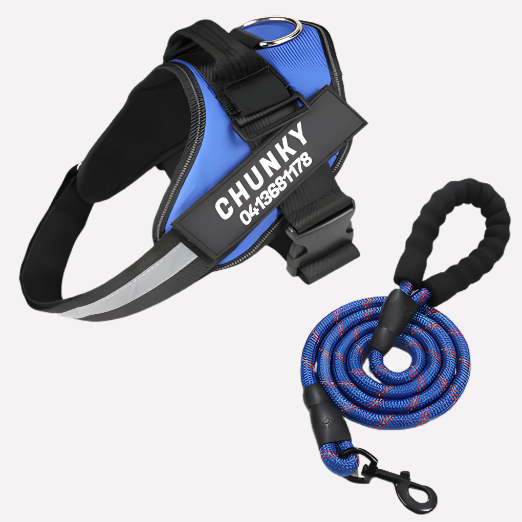Charly | Customizable Anti-Pull Dog Harness