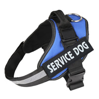 Sisica | Customizable Anti-Pull Dog Harness