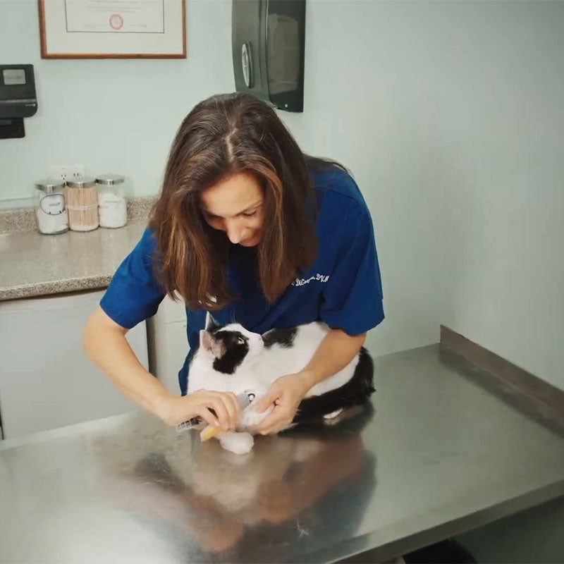 Charly | Dog & Cat Nail Clipper with Safety Sensor & LED