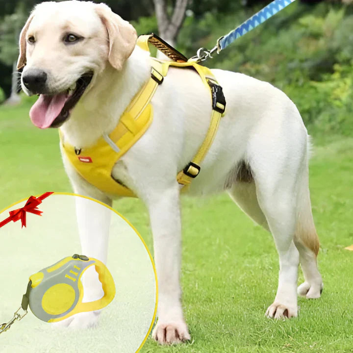Charly | Dog No-Pull Harness with Padded Comfort and Control Handle