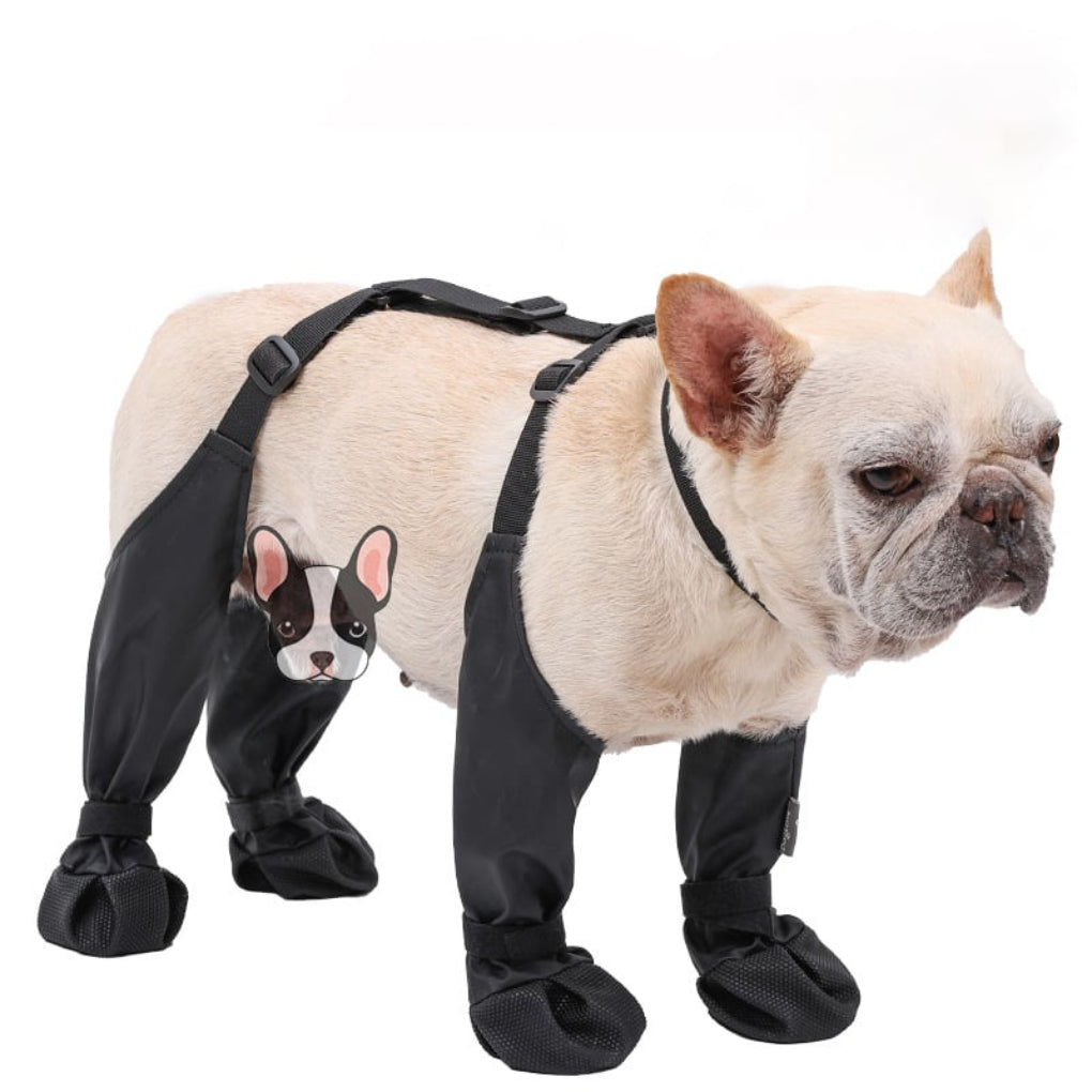 Charly | Dog Paw Protection Boots for Outdoor Adventures