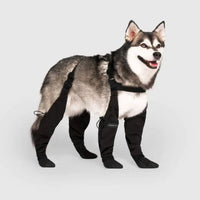 Sisica | Dog Paw Protection Boots for Outdoor Adventures