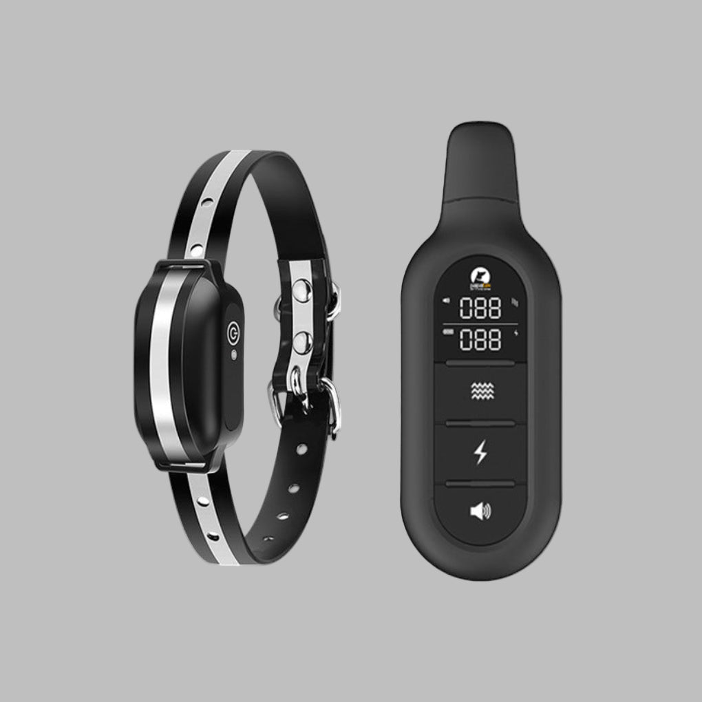 Charly | Dog Training Collar with Remote Control