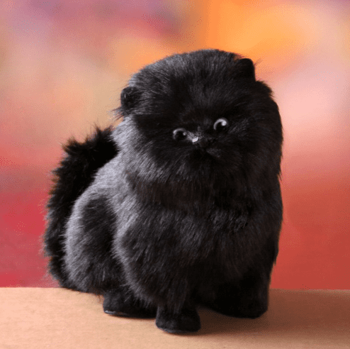 Charly | Enchanting, electric, interactive plush kitten