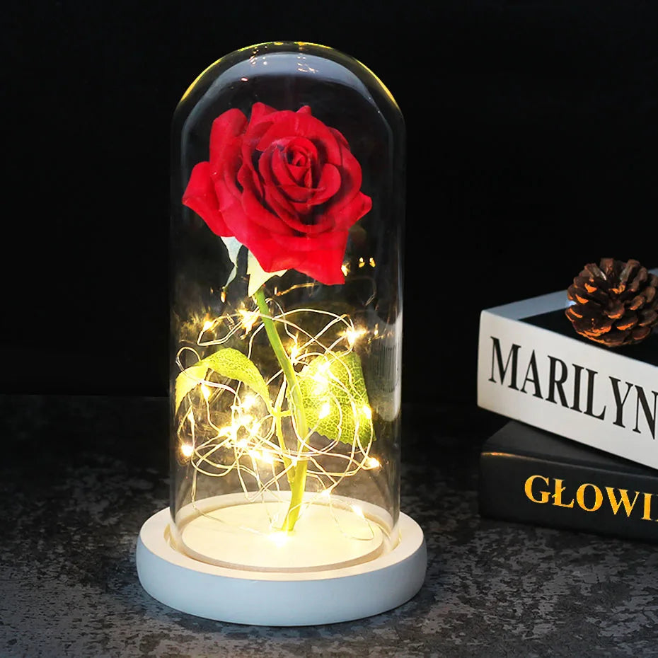 Charly – Eternal Rose in Glass Dome with Atmospheric LED Lighting