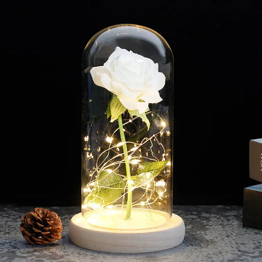 Charly – Eternal Rose in Glass Dome with Atmospheric LED Lighting