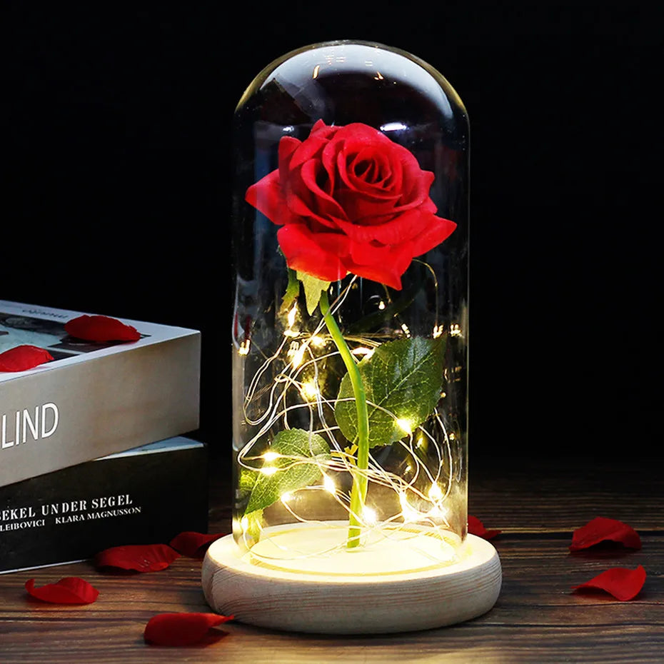 Charly – Eternal Rose in Glass Dome with Atmospheric LED Lighting