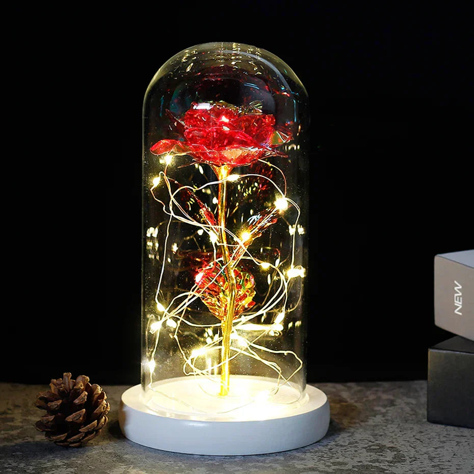 Charly – Eternal Rose in Glass Dome with Atmospheric LED Lighting