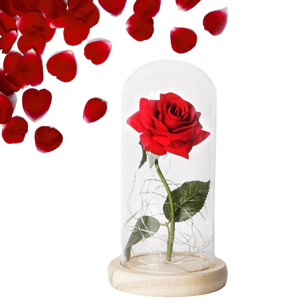 Charly – Eternal Rose in Glass Dome with Atmospheric LED Lighting