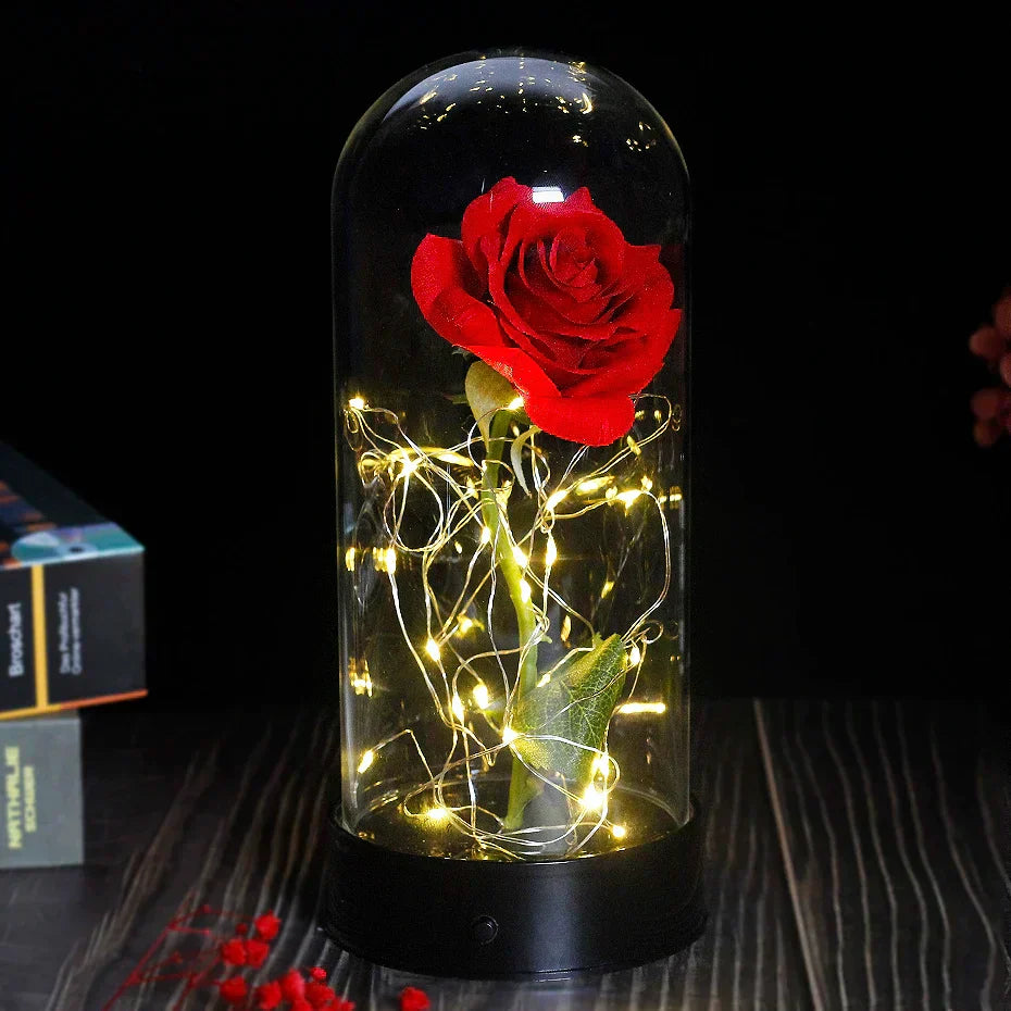 Charly – Eternal Rose in Glass Dome with Atmospheric LED Lighting