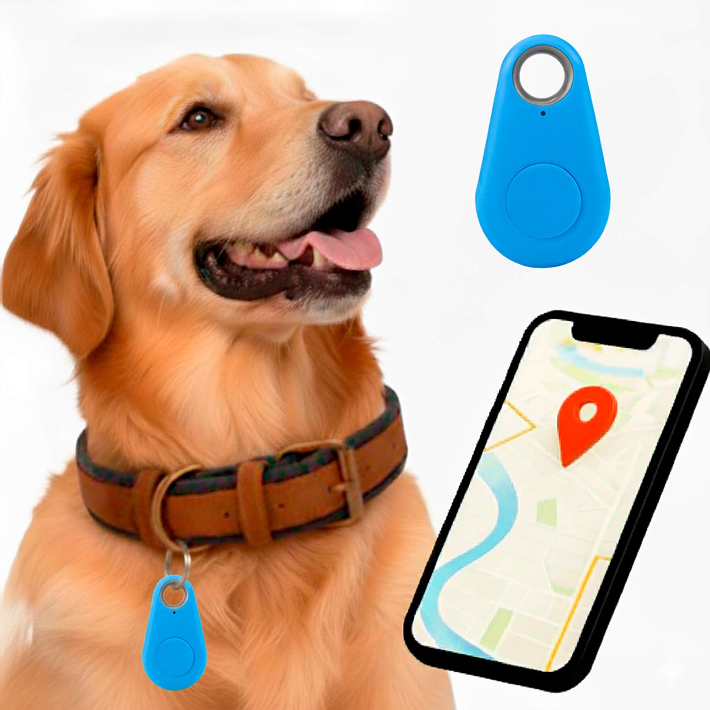 Charly | GPS Dog Tracking | Waterproof, Real-Time Location & Safety Zone Alerts for Outdoor Adventures