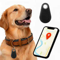 Sisica | GPS Dog Tracking | Waterproof, Real-Time Location & Safety Zone Alerts for Outdoor Adventures