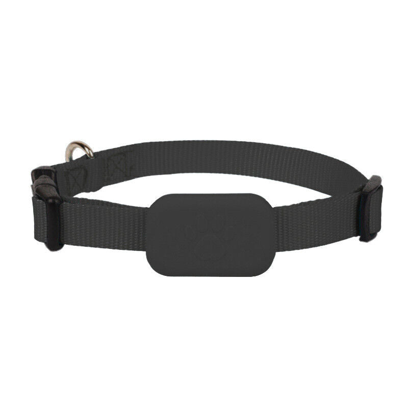 Charly | GPS Tracker Collar for Dogs & Cats - Real-Time Location