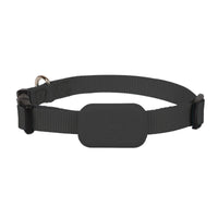 Sisica | Real-Time Pet GPS Locator for Cats & Dogs