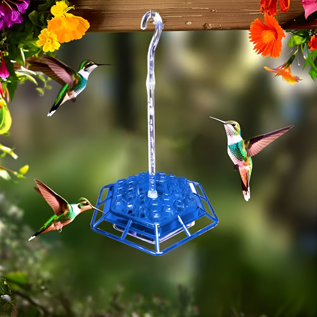 Charly | Hummingbird Feeder with Built-in Ant Moat