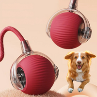 Sisica | Pet Rolling Ball with Tail - Interactive Fun