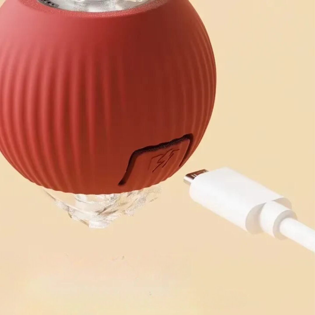 Charly | Interactive Rolling Ball Toy with Tail for Dogs