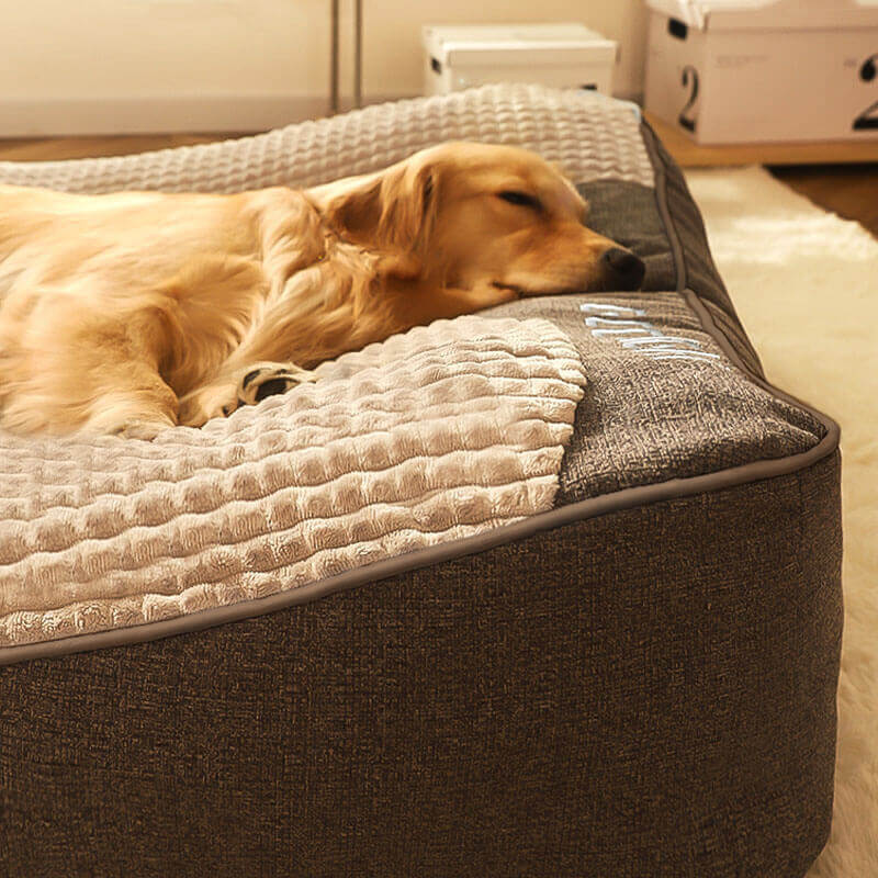 Charly | Large Scratch-Resistant Dog Bed with Orthopedic Back Support