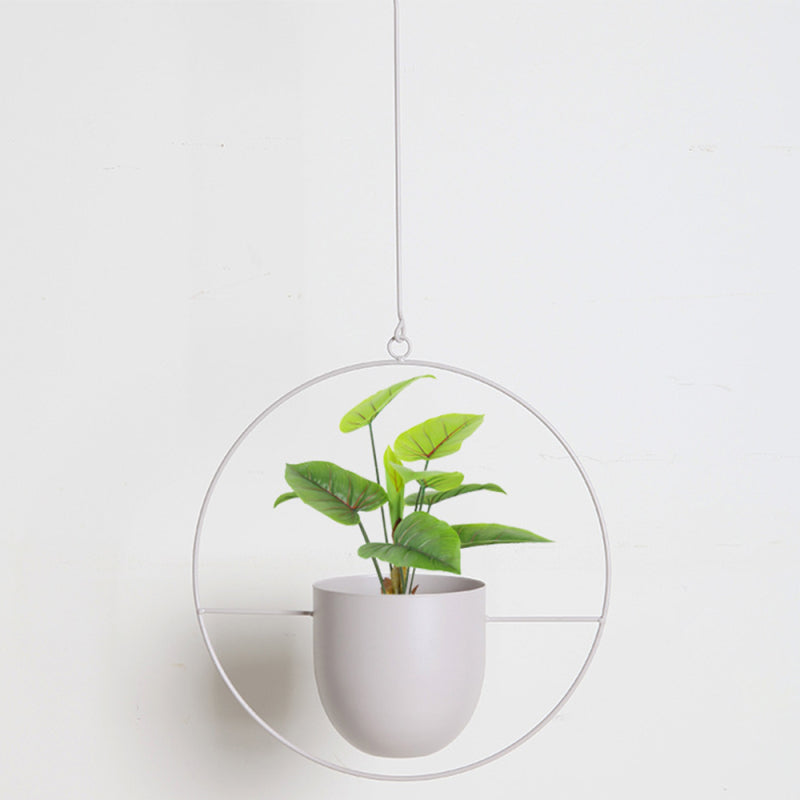 Charly | Luxury Modern Hanging Pots