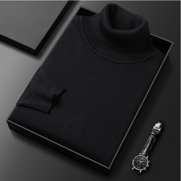 Charly | Men's Turtleneck sweater with ribbed cuffs