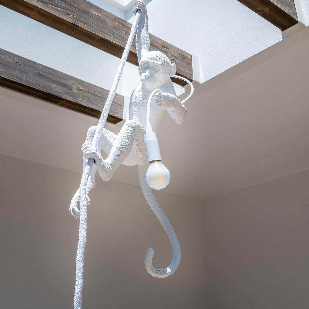 Charly | Monkey Pendant Light | Sculptural Design Object