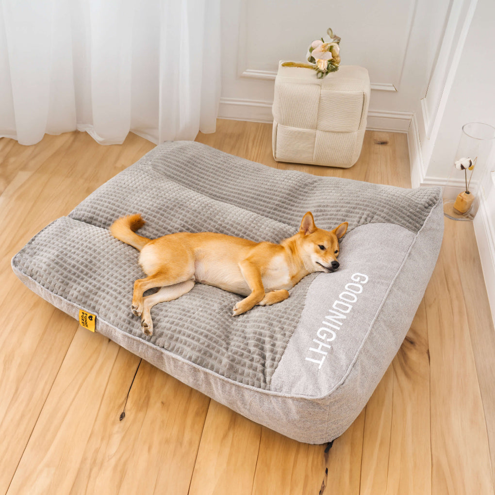 Charly | Orthopedic Dog Bed with Supportive Cushion