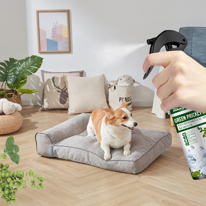 Charly | Powerful Mite Remover Spray