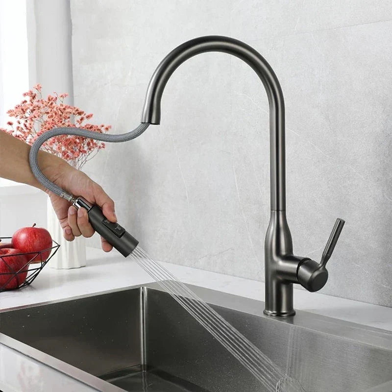 Charly | PureFlow - Kitchen Faucet with Pull-Down Spray