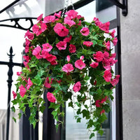 Sisica | Realistic Morning Glory Vines - Buy One Get One Free