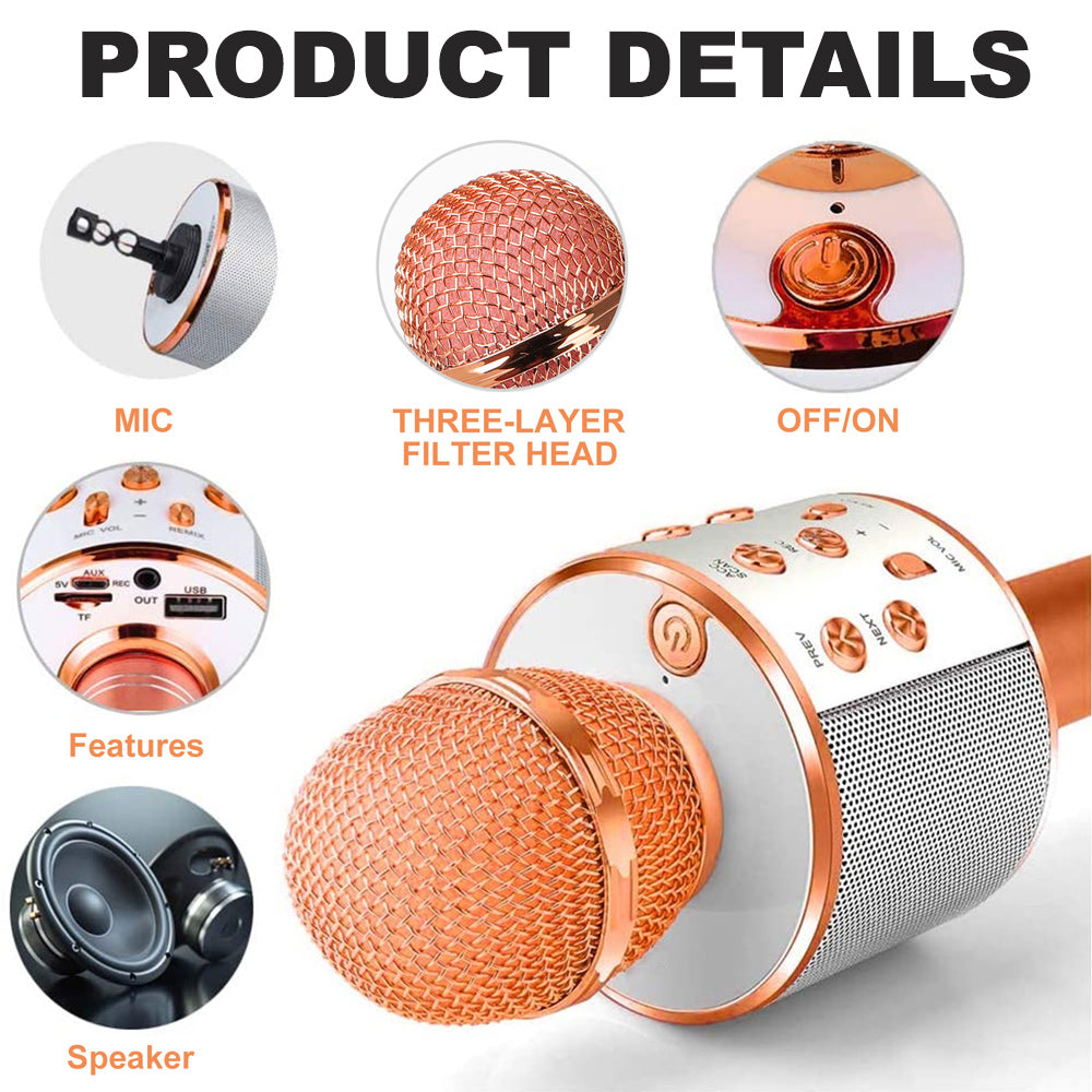 Charly | Rechargeable Wireless Bluetooth Karaoke Microphone